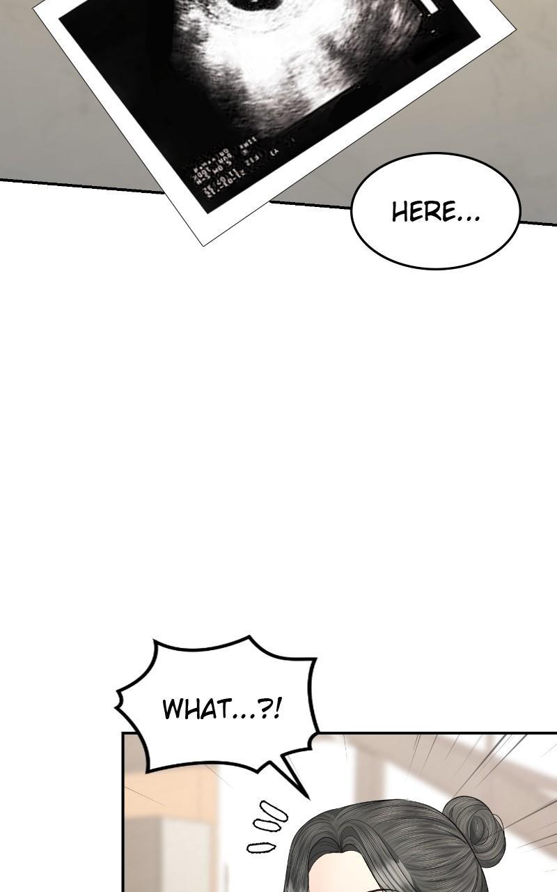 Read Perfect Marriage Revenge EN Manga Online