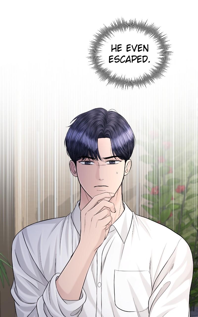 Read Perfect Marriage Revenge EN Manga Online