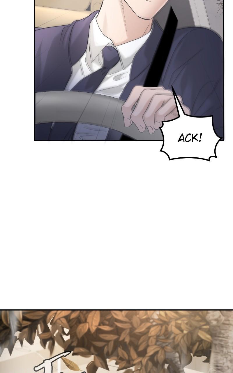 Read Perfect Marriage Revenge EN Manga Online