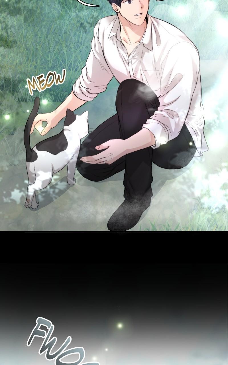 Read Perfect Marriage Revenge EN Manga Online