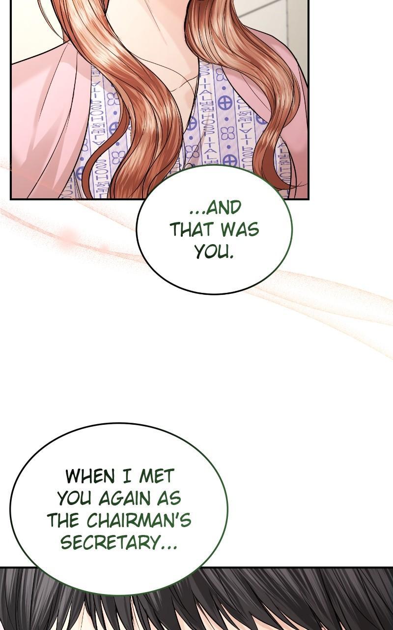 Read Perfect Marriage Revenge EN Manga Online