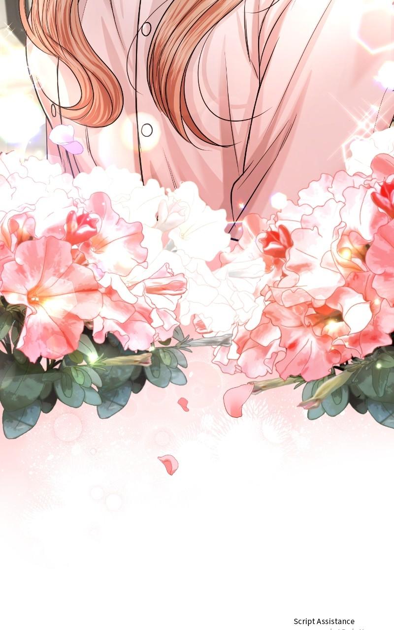 Read Perfect Marriage Revenge EN Manga Online