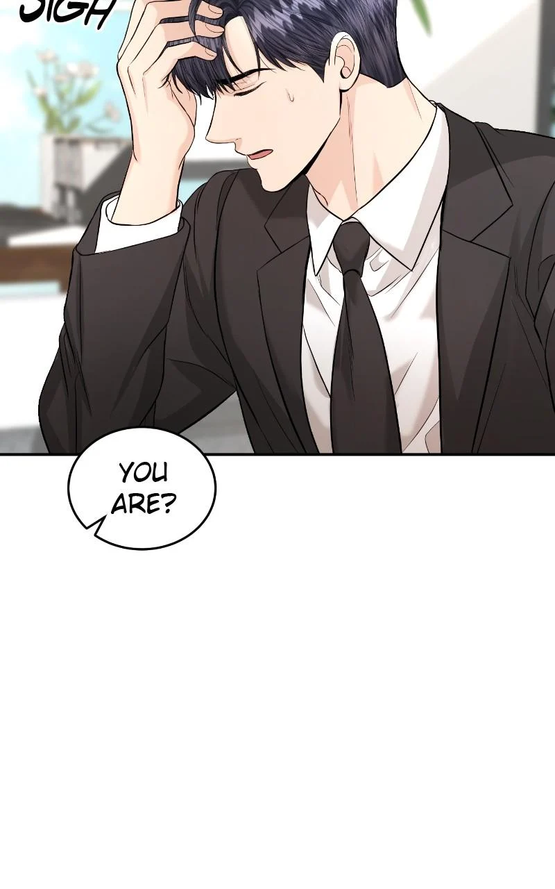 Read Perfect Marriage Revenge EN Manga Online