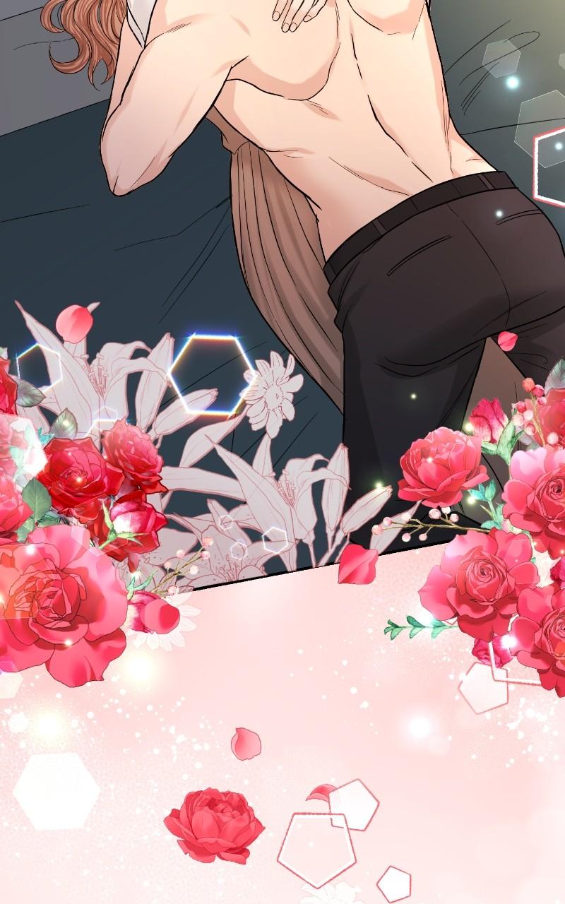 Read Perfect Marriage Revenge EN Manga Online