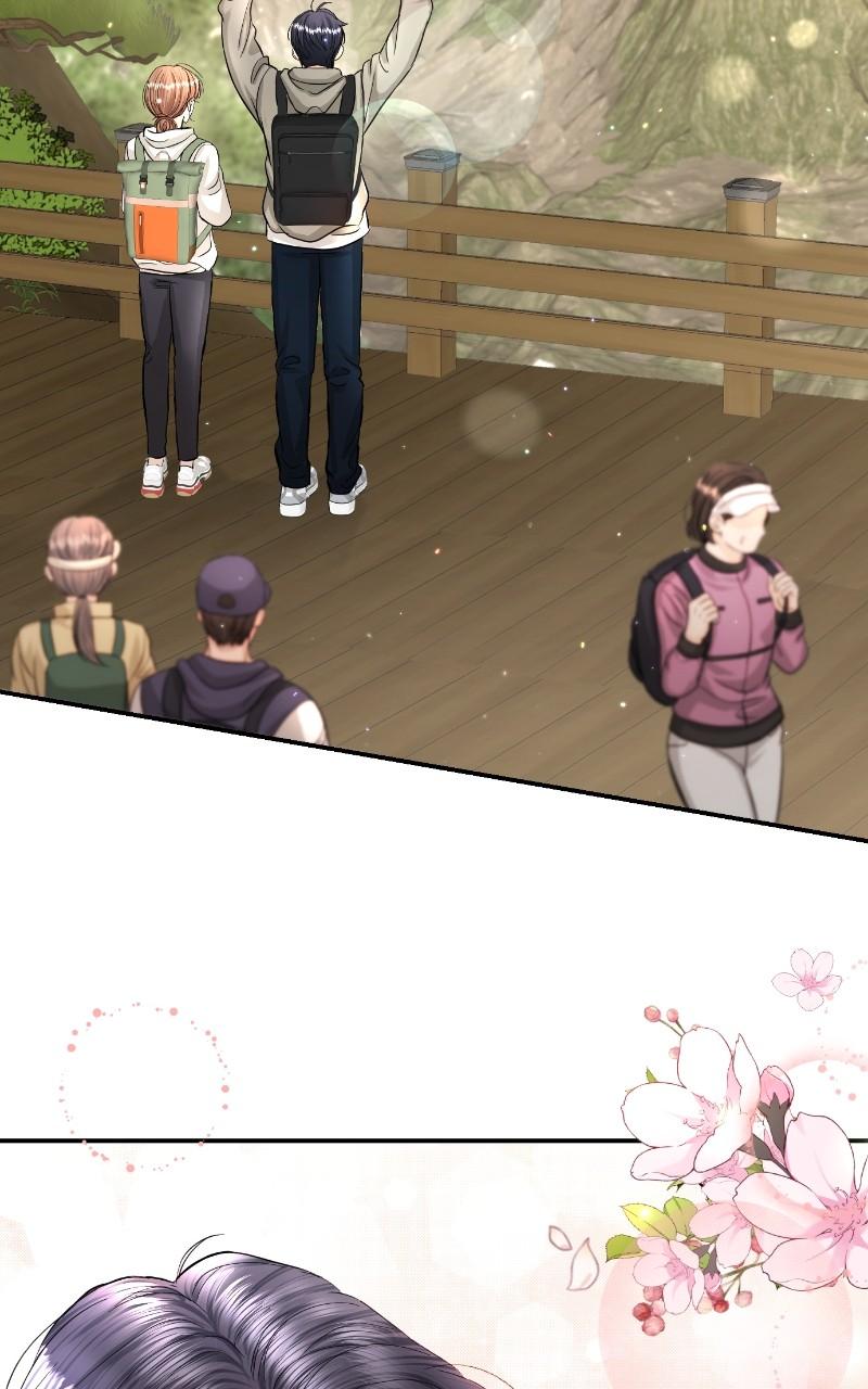 Read Perfect Marriage Revenge EN Manga Online