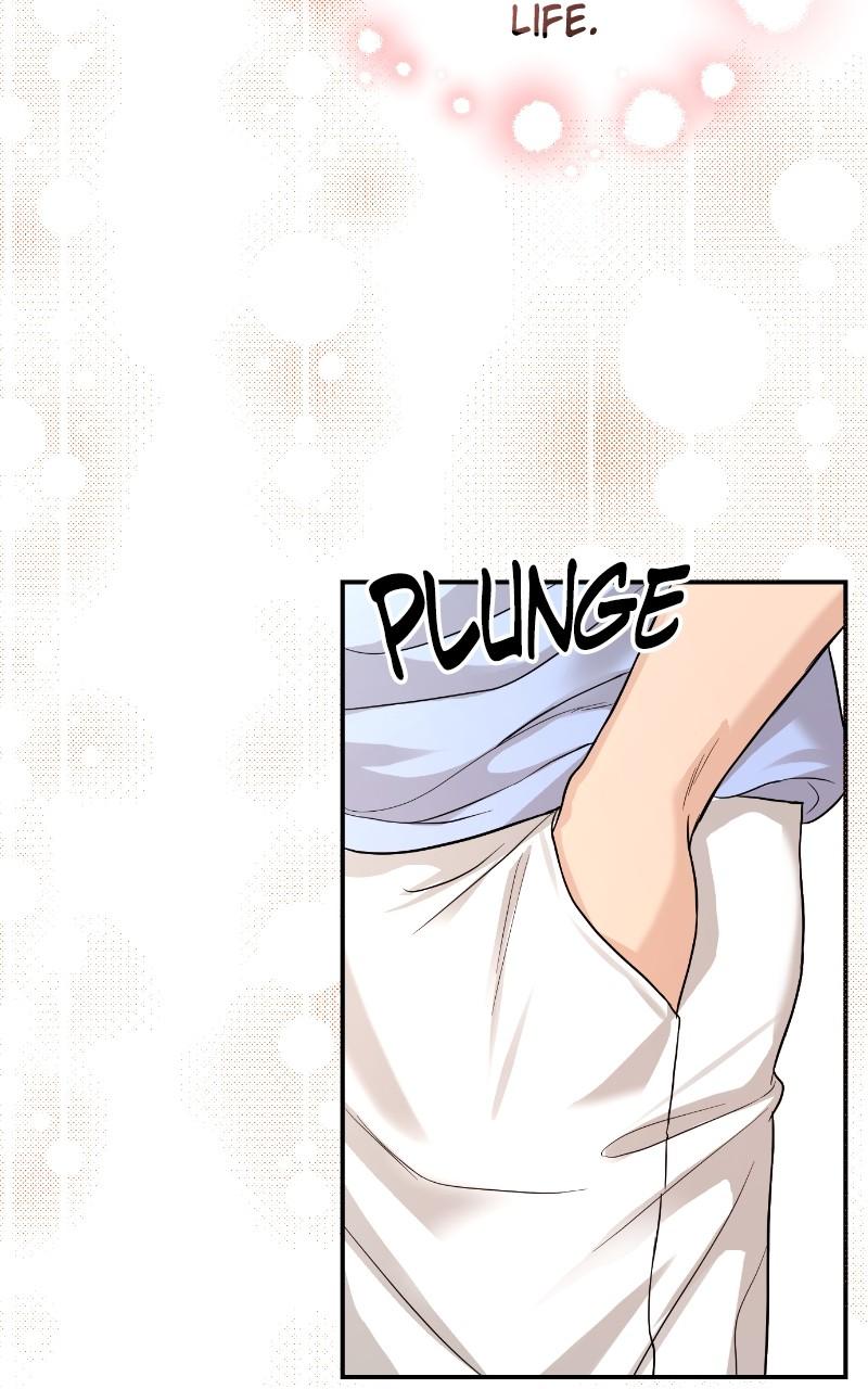 Read Perfect Marriage Revenge EN Manga Online