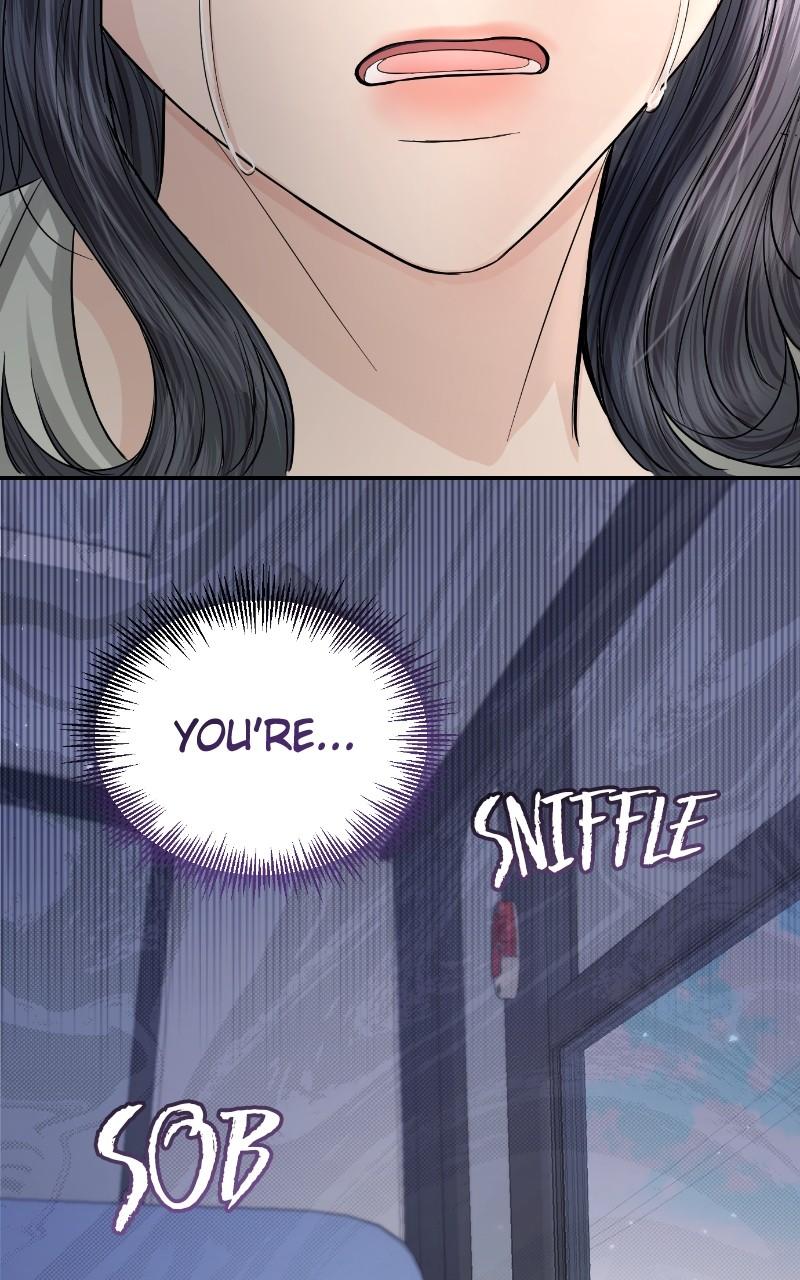 Read Perfect Marriage Revenge EN Manga Online