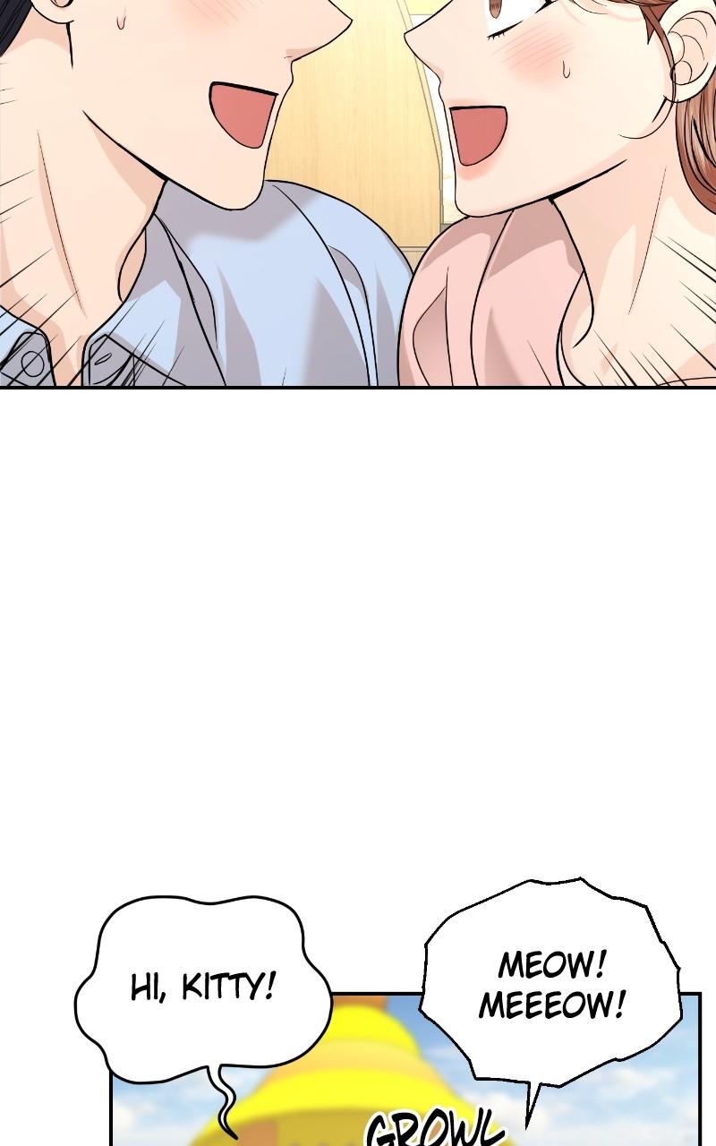 Read Perfect Marriage Revenge EN Manga Online