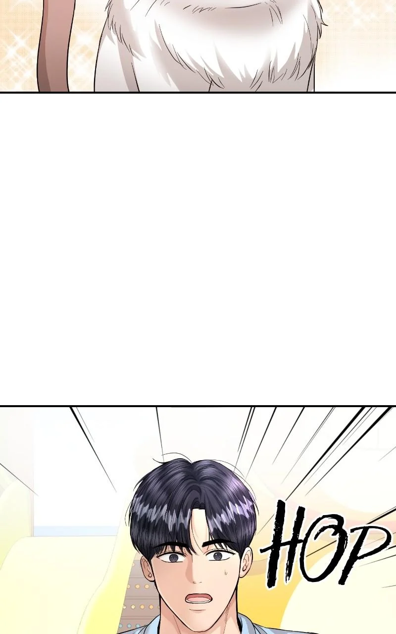 Read Perfect Marriage Revenge EN Manga Online