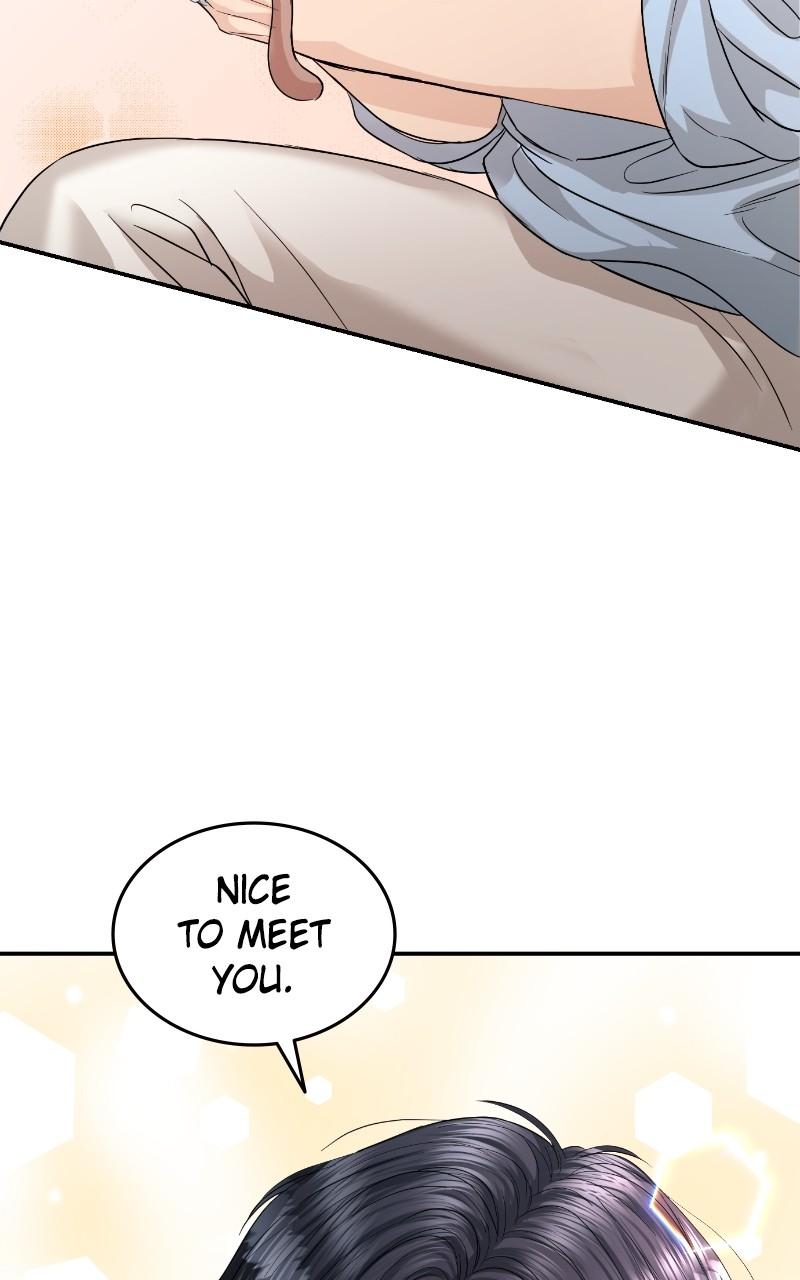 Read Perfect Marriage Revenge EN Manga Online