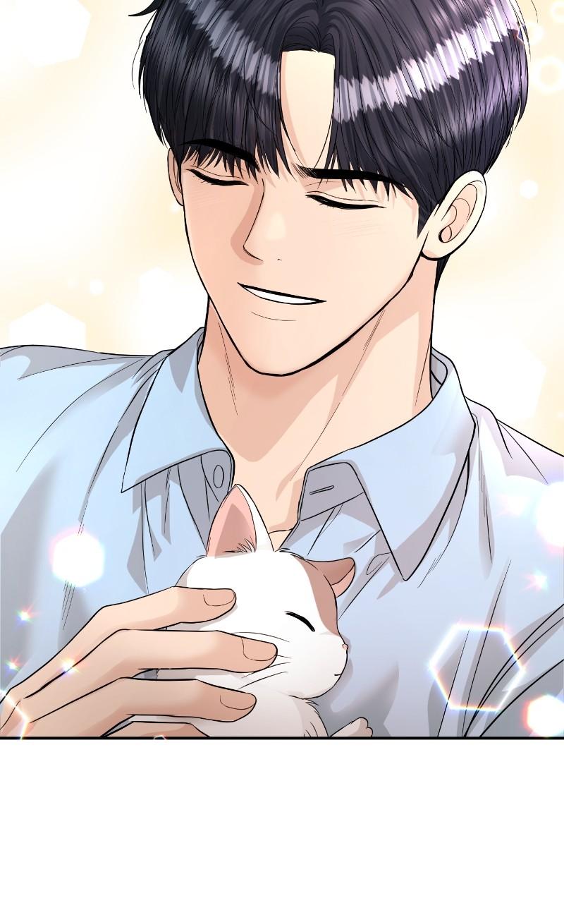 Read Perfect Marriage Revenge EN Manga Online