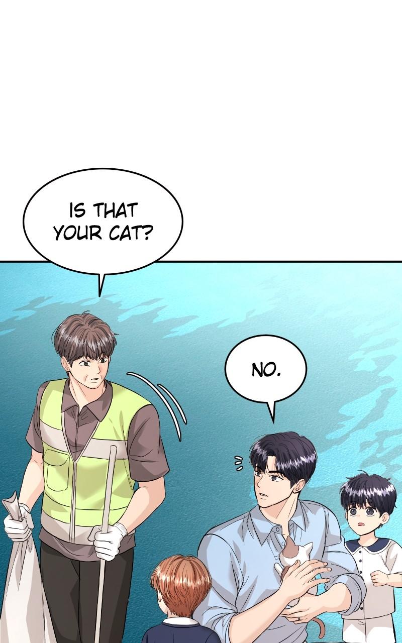 Read Perfect Marriage Revenge EN Manga Online