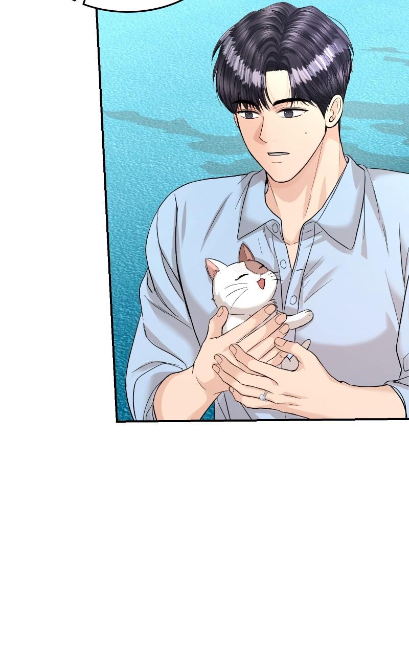 Read Perfect Marriage Revenge EN Manga Online