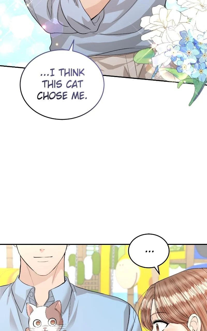 Read Perfect Marriage Revenge EN Manga Online