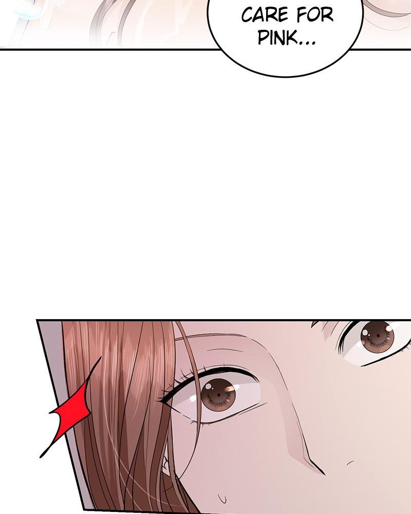 Read Perfect Marriage Revenge EN Manga Online