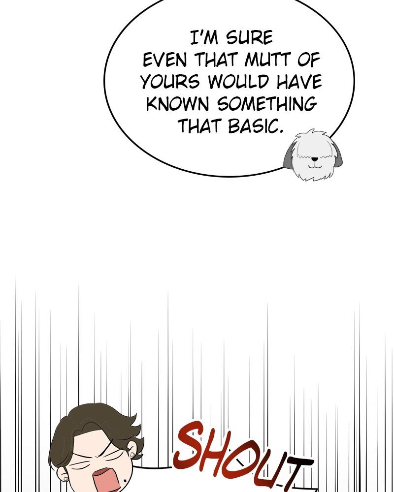 Read Perfect Marriage Revenge EN Manga Online