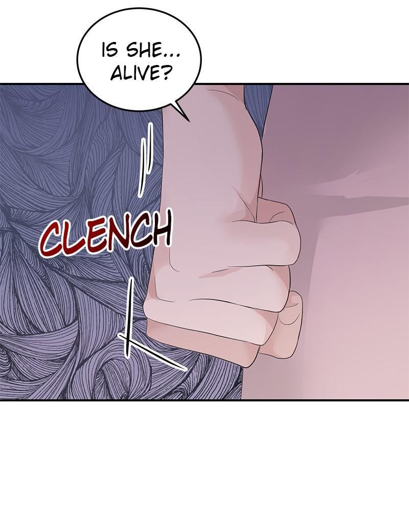 Read Perfect Marriage Revenge EN Manga Online