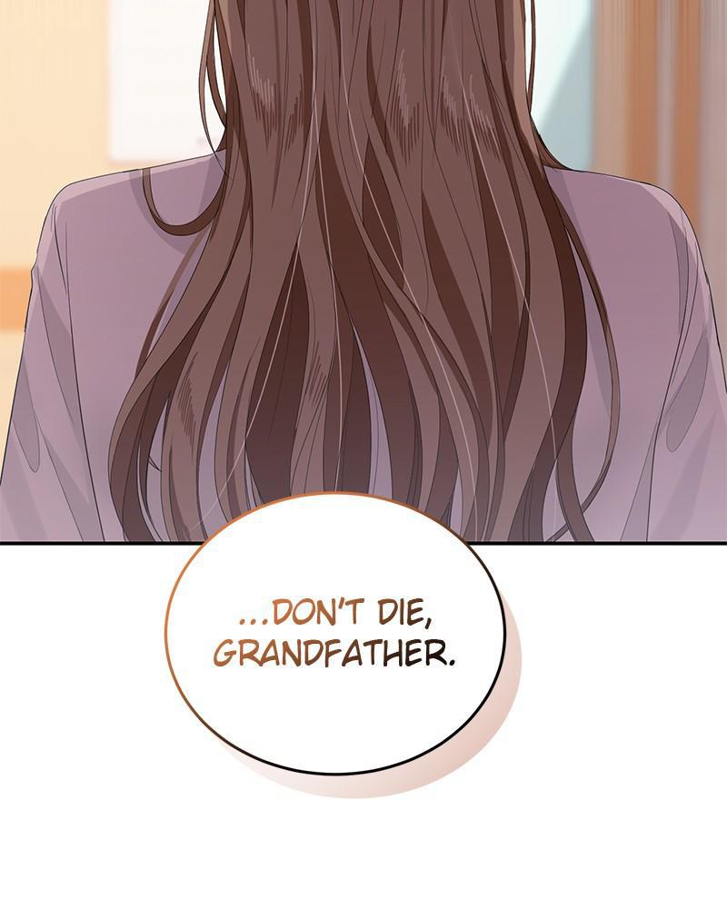 Read Perfect Marriage Revenge EN Manga Online