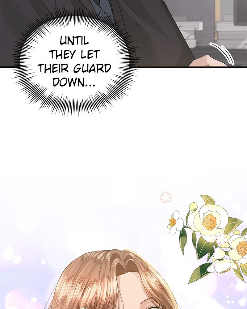 Read Perfect Marriage Revenge EN Manga Online