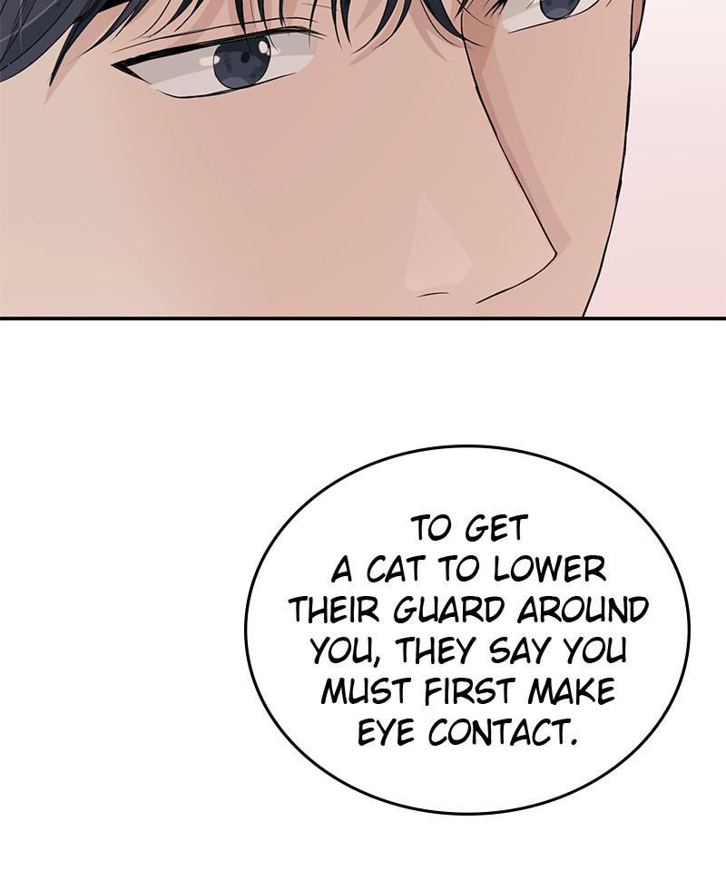 Read Perfect Marriage Revenge EN Manga Online