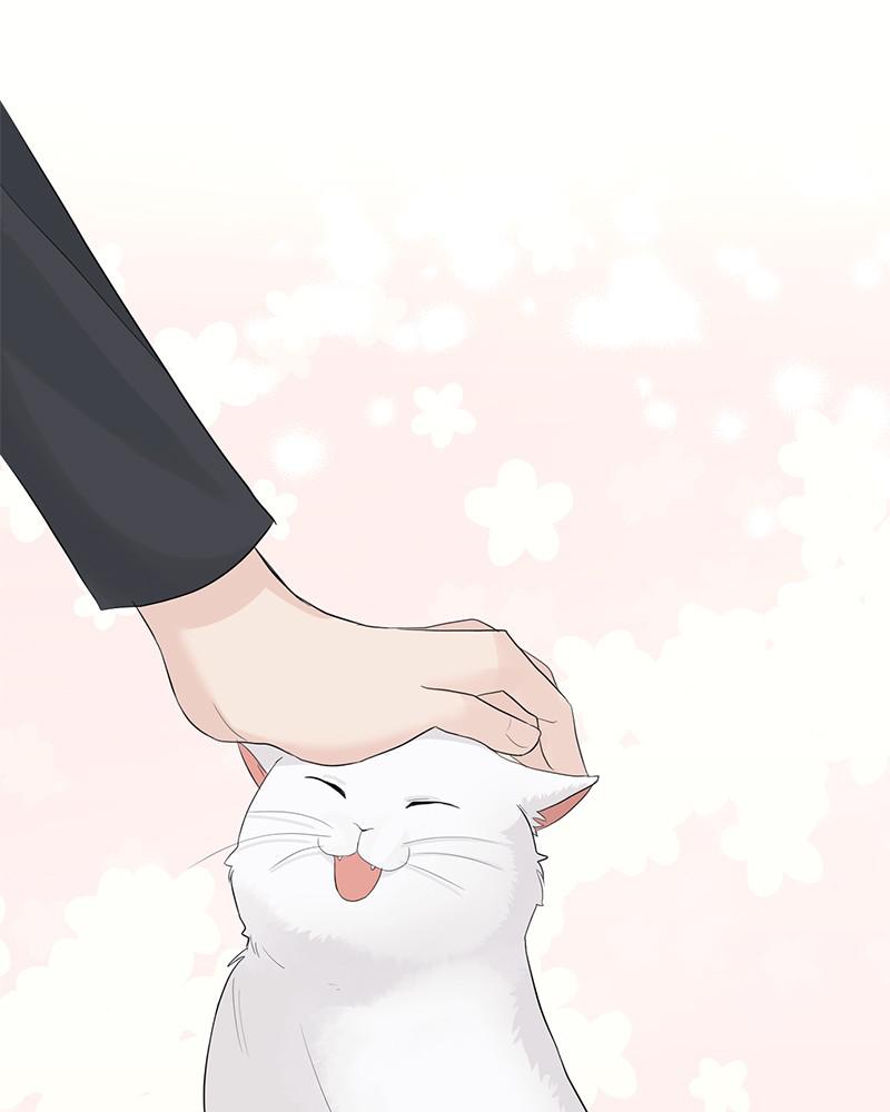 Read Perfect Marriage Revenge EN Manga Online