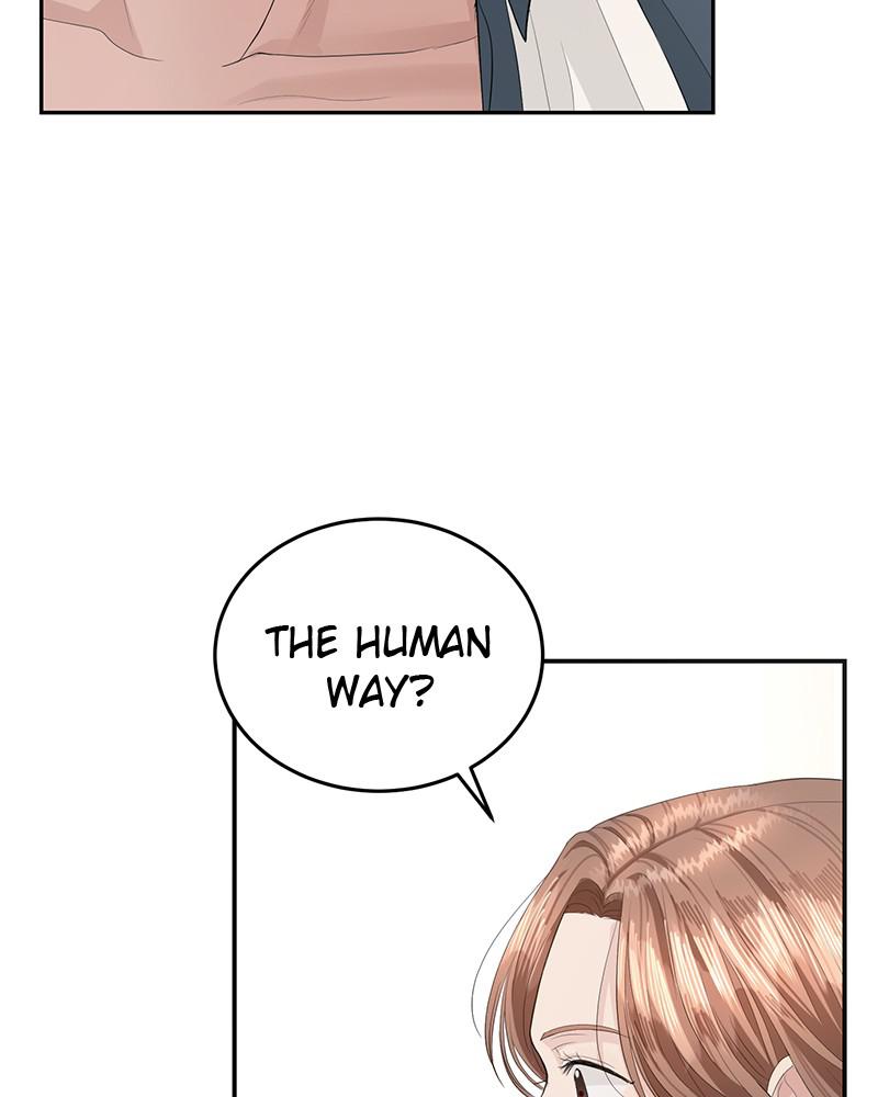 Read Perfect Marriage Revenge EN Manga Online