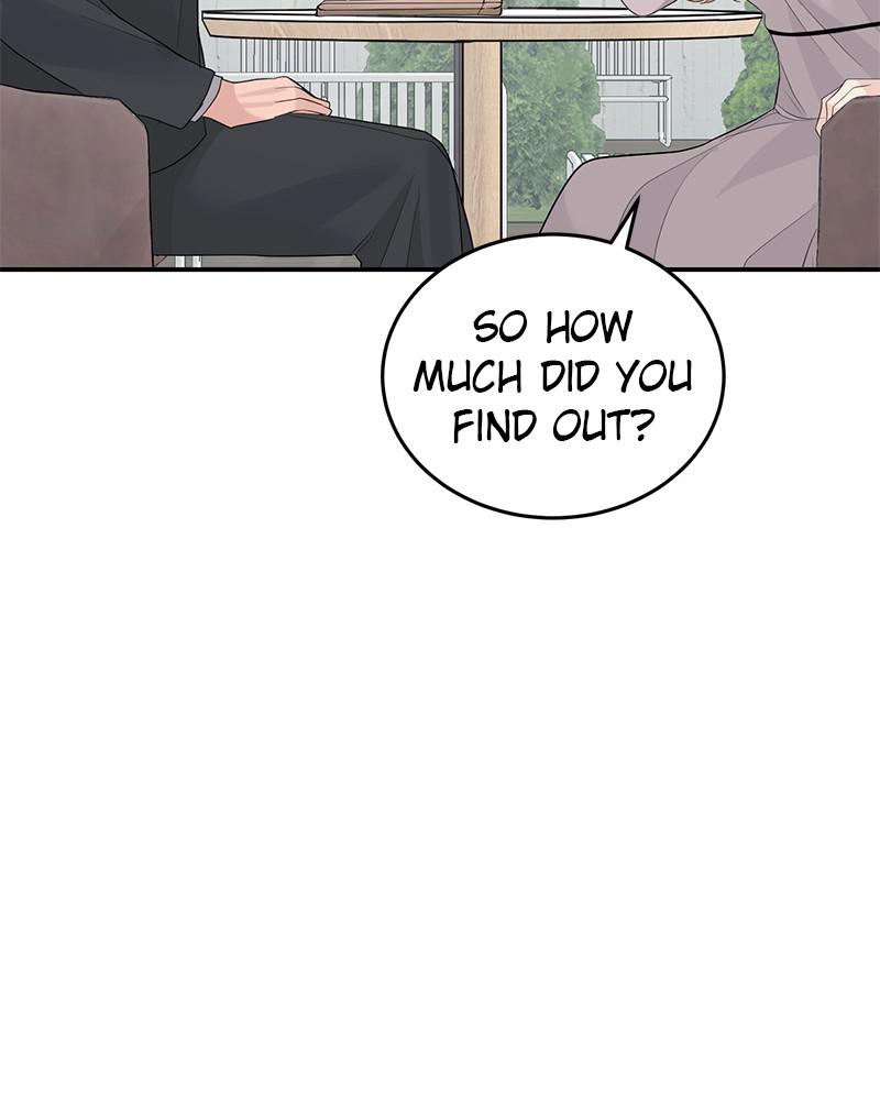 Read Perfect Marriage Revenge EN Manga Online