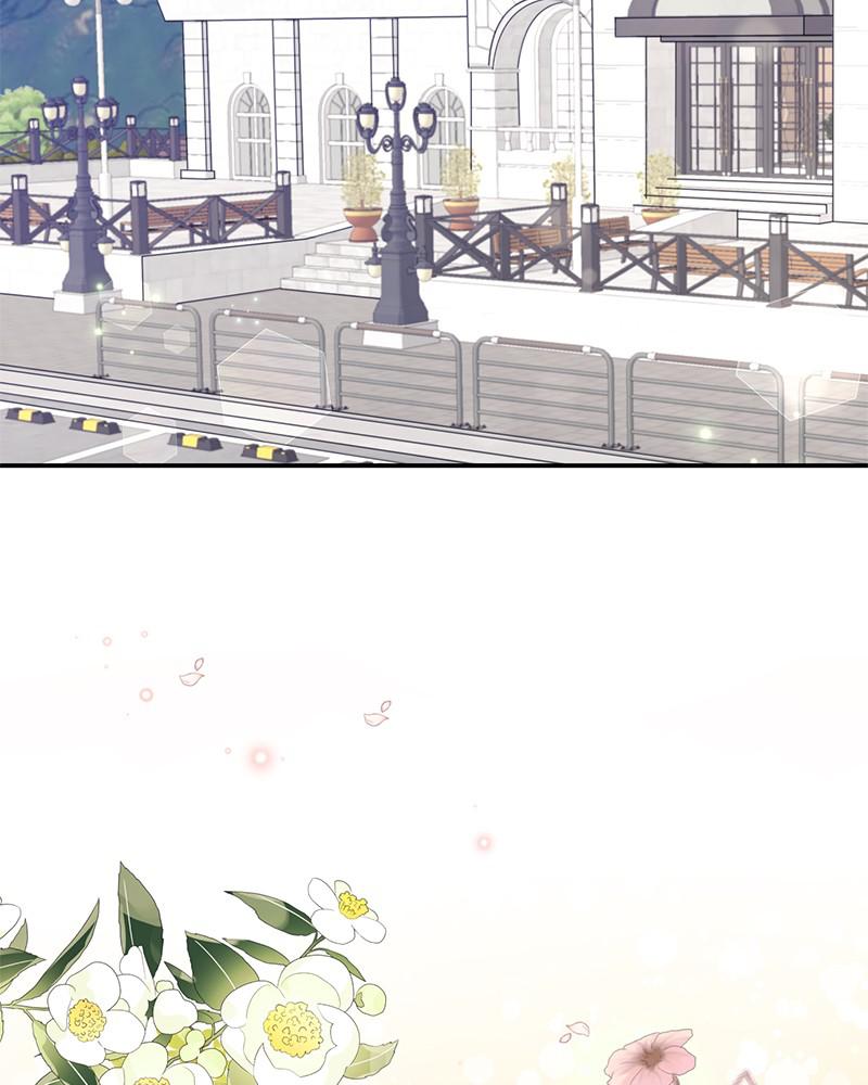 Read Perfect Marriage Revenge EN Manga Online