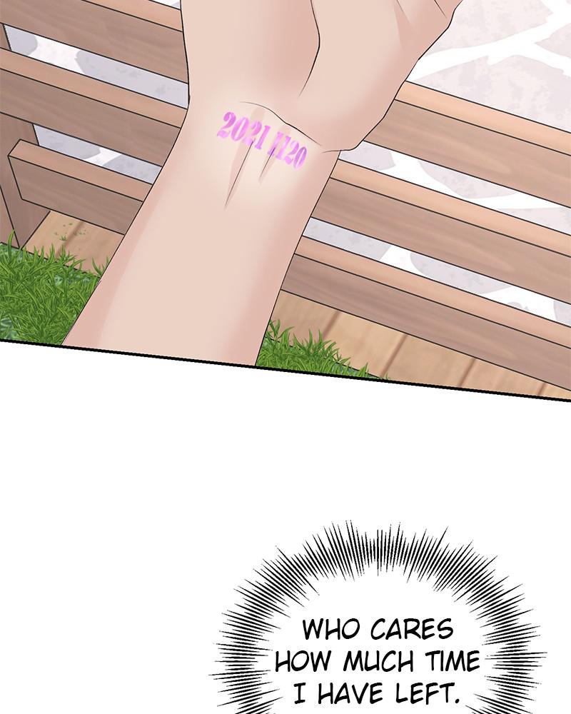 Read Perfect Marriage Revenge EN Manga Online