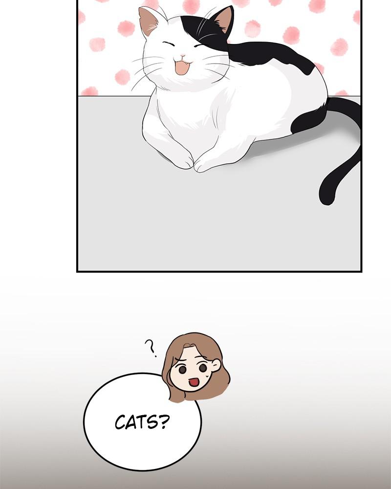 Read Perfect Marriage Revenge EN Manga Online