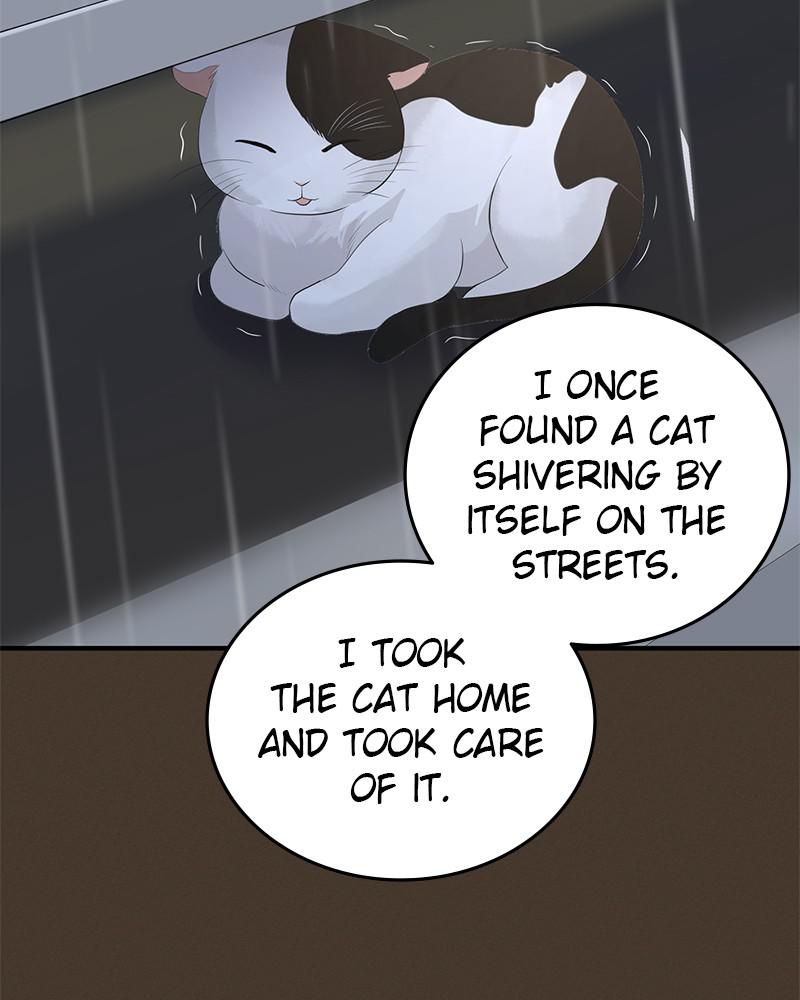 Read Perfect Marriage Revenge EN Manga Online