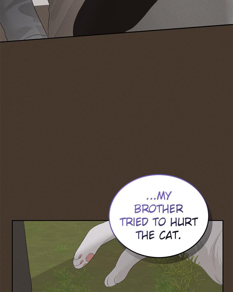 Read Perfect Marriage Revenge EN Manga Online