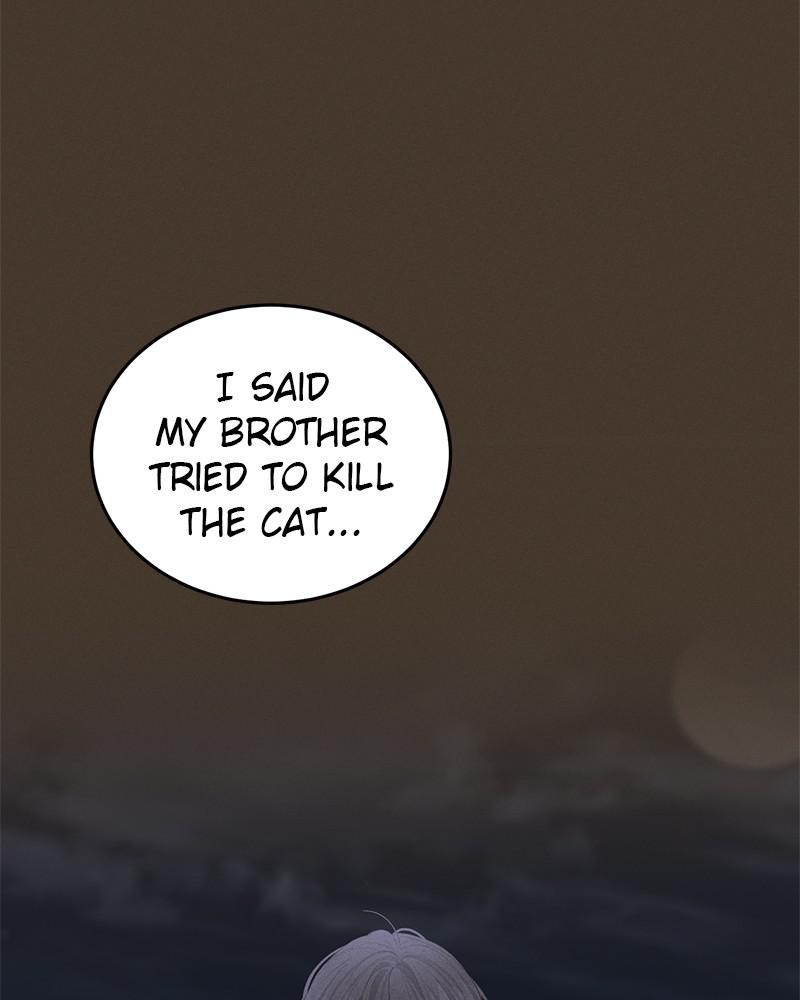 Read Perfect Marriage Revenge EN Manga Online