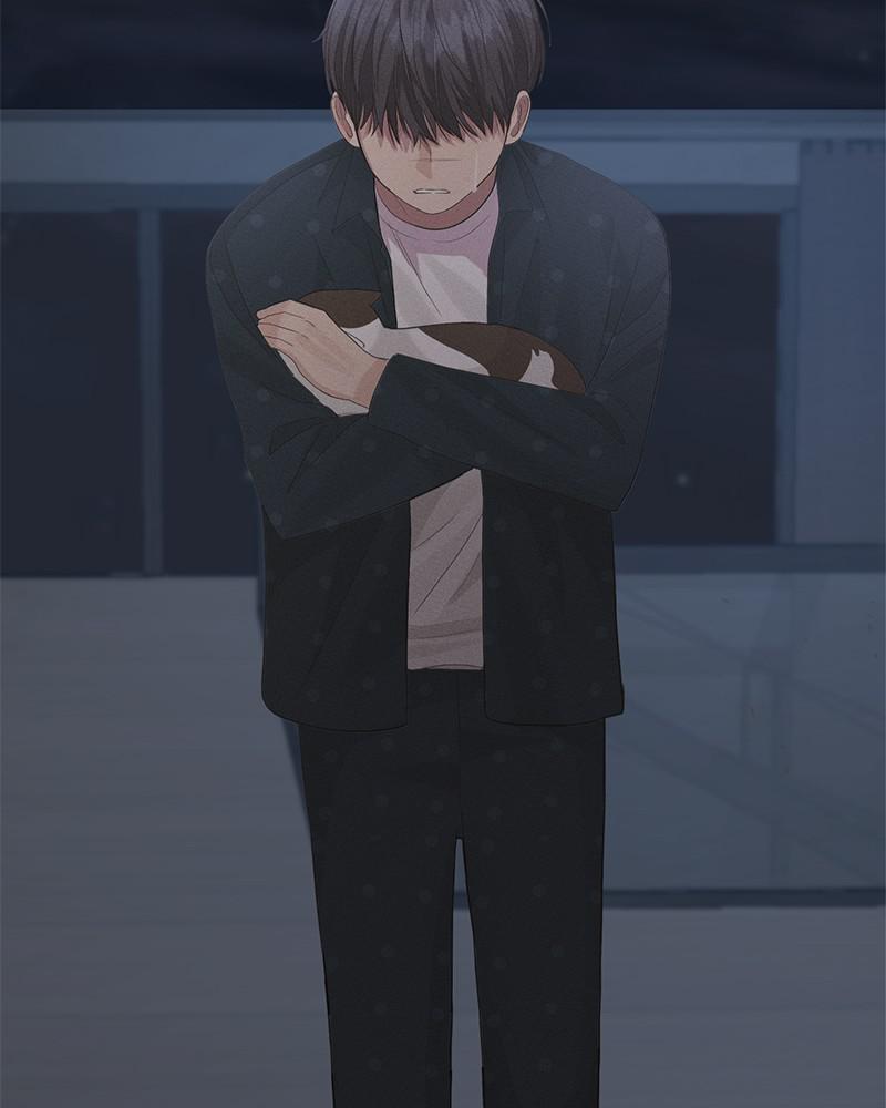 Read Perfect Marriage Revenge EN Manga Online