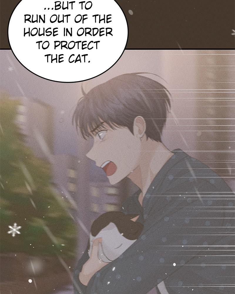 Read Perfect Marriage Revenge EN Manga Online