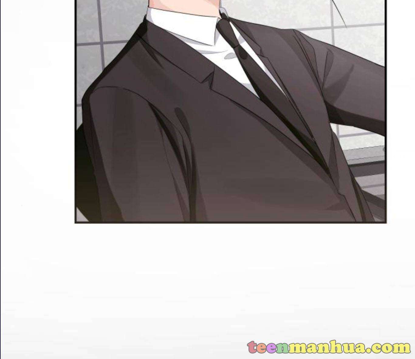 Read Perfect Marriage Revenge EN Manga Online