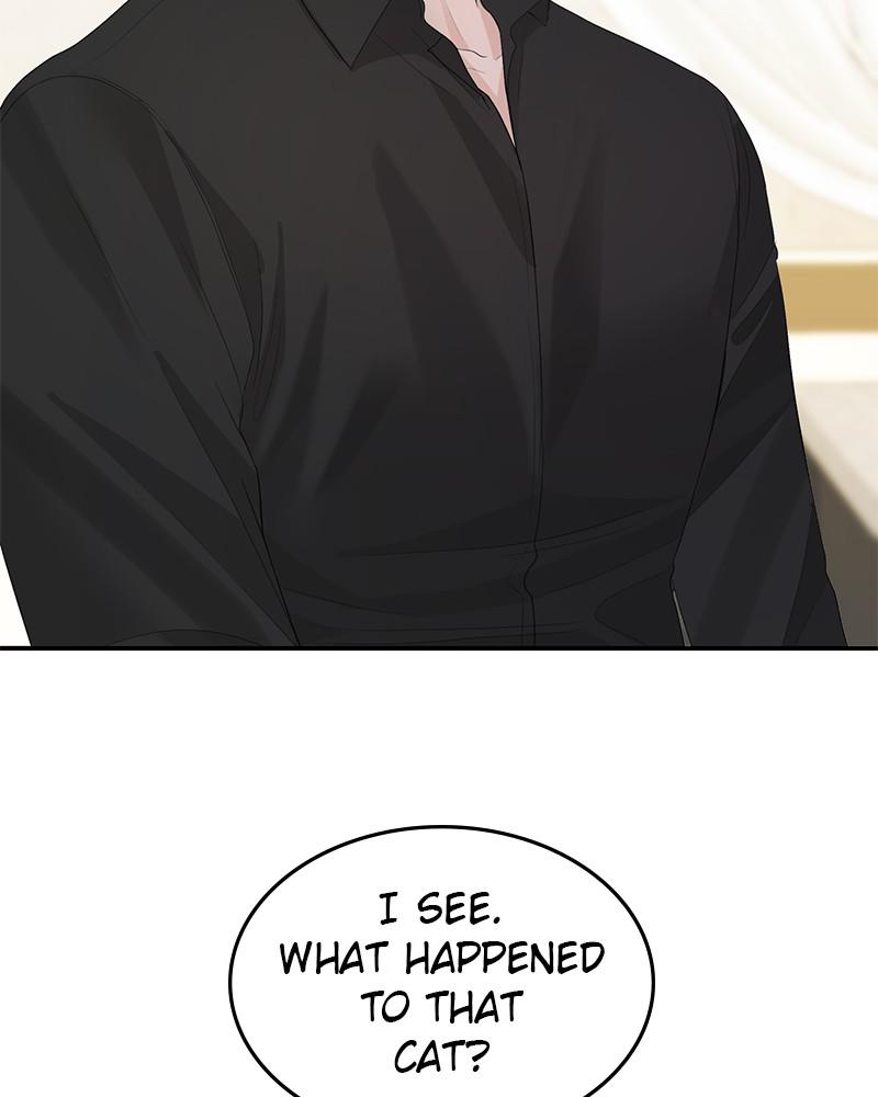 Read Perfect Marriage Revenge EN Manga Online