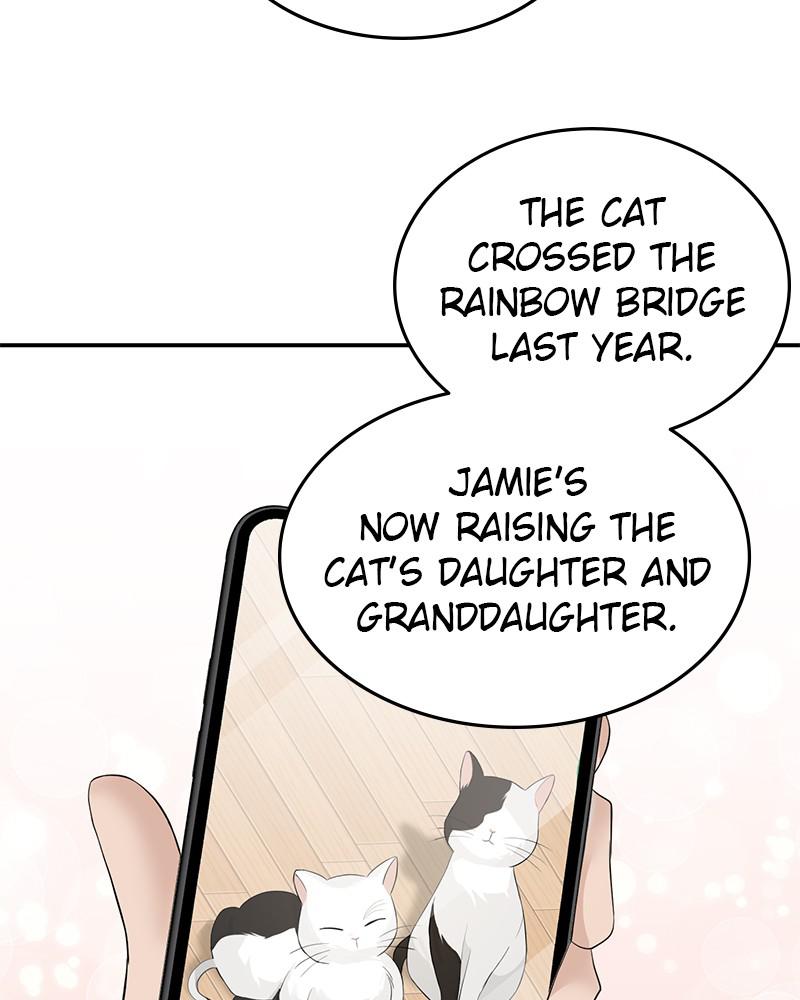 Read Perfect Marriage Revenge EN Manga Online