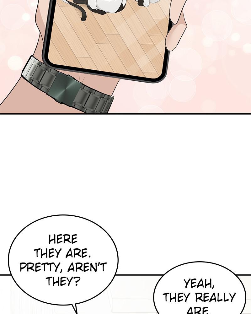 Read Perfect Marriage Revenge EN Manga Online