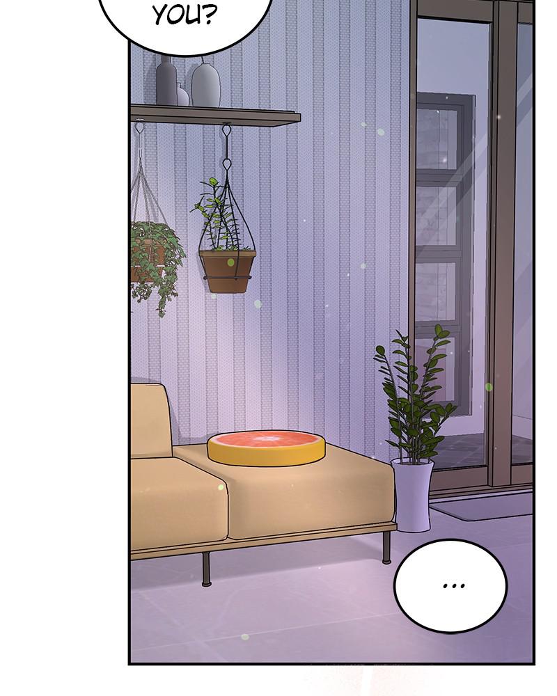 Read Perfect Marriage Revenge EN Manga Online