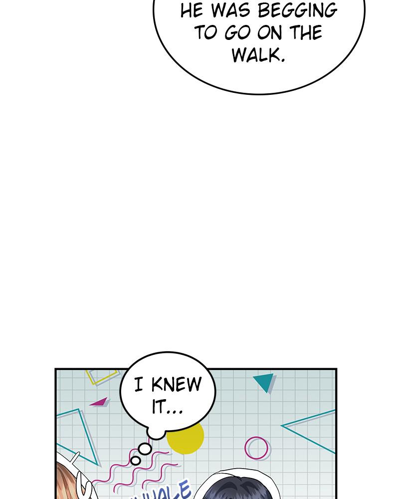 Read Perfect Marriage Revenge EN Manga Online