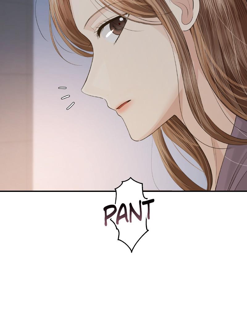 Read Perfect Marriage Revenge EN Manga Online