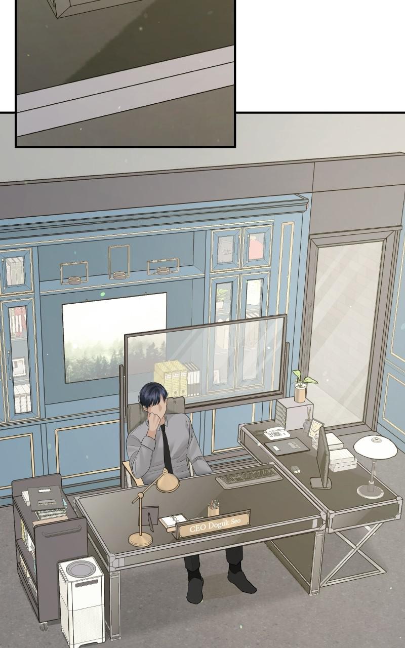 Read Perfect Marriage Revenge EN Manga Online