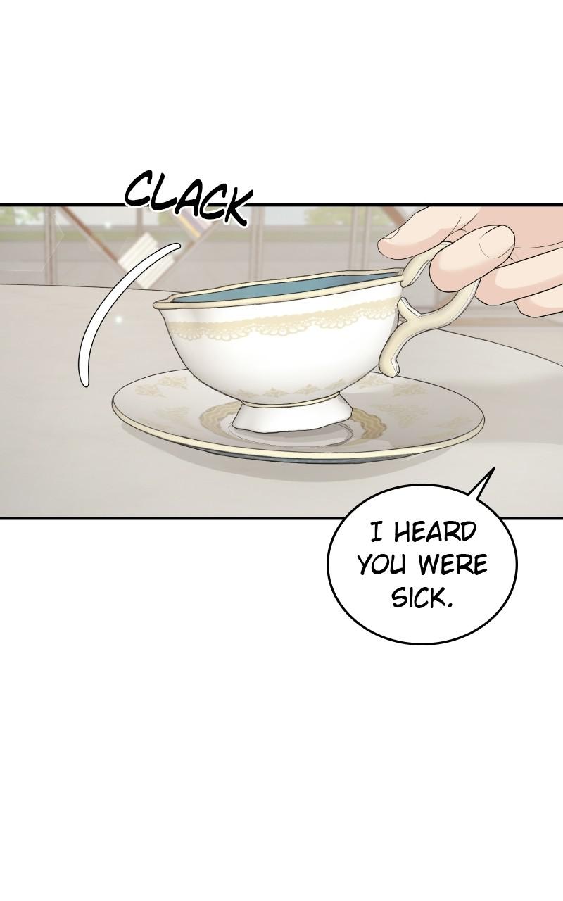 Read Perfect Marriage Revenge EN Manga Online