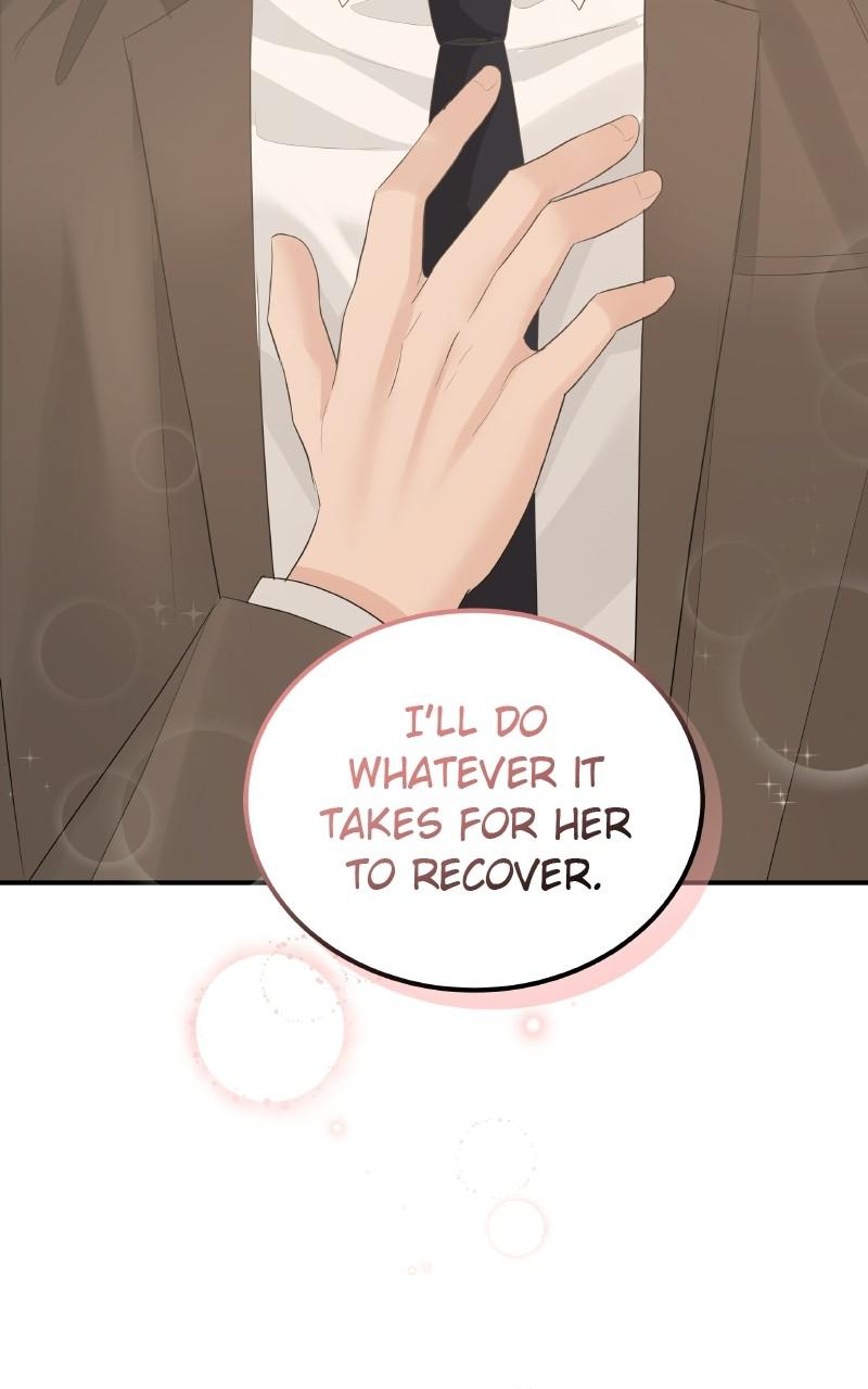 Read Perfect Marriage Revenge EN Manga Online