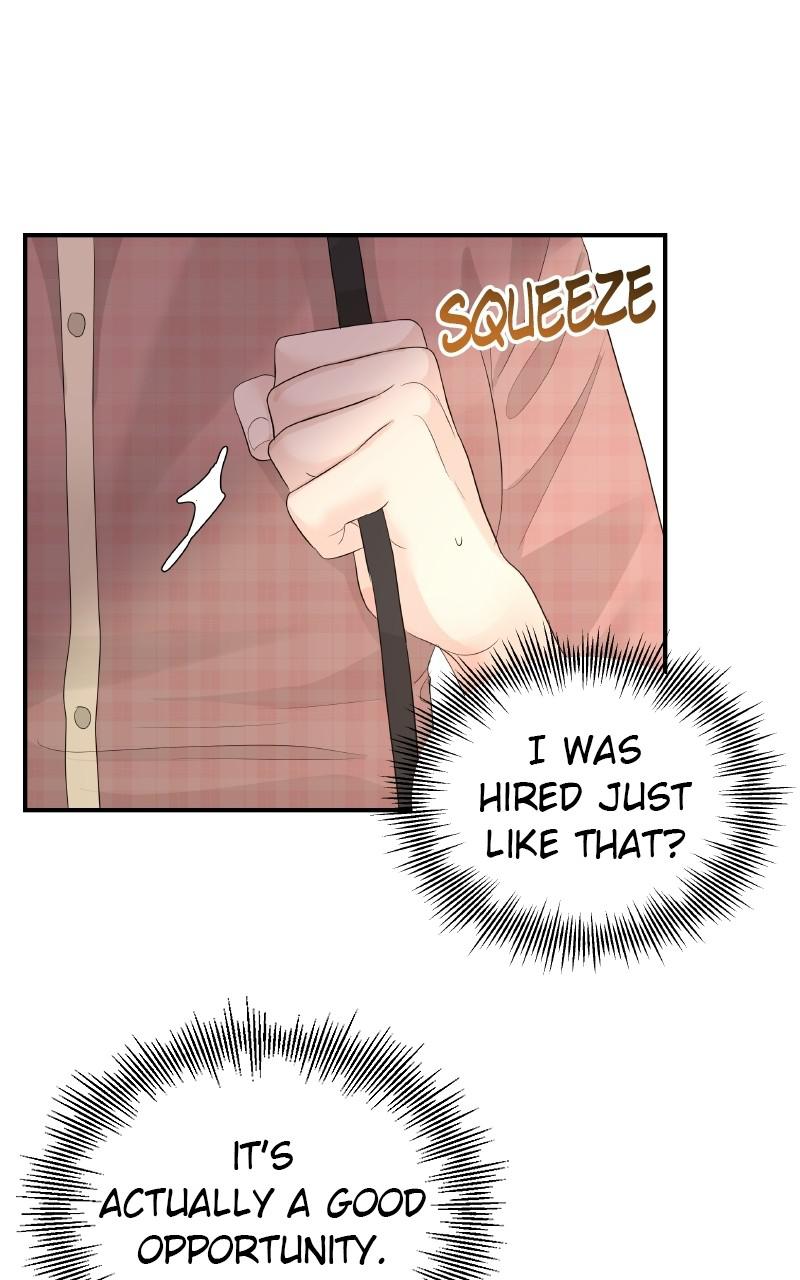 Read Perfect Marriage Revenge EN Manga Online