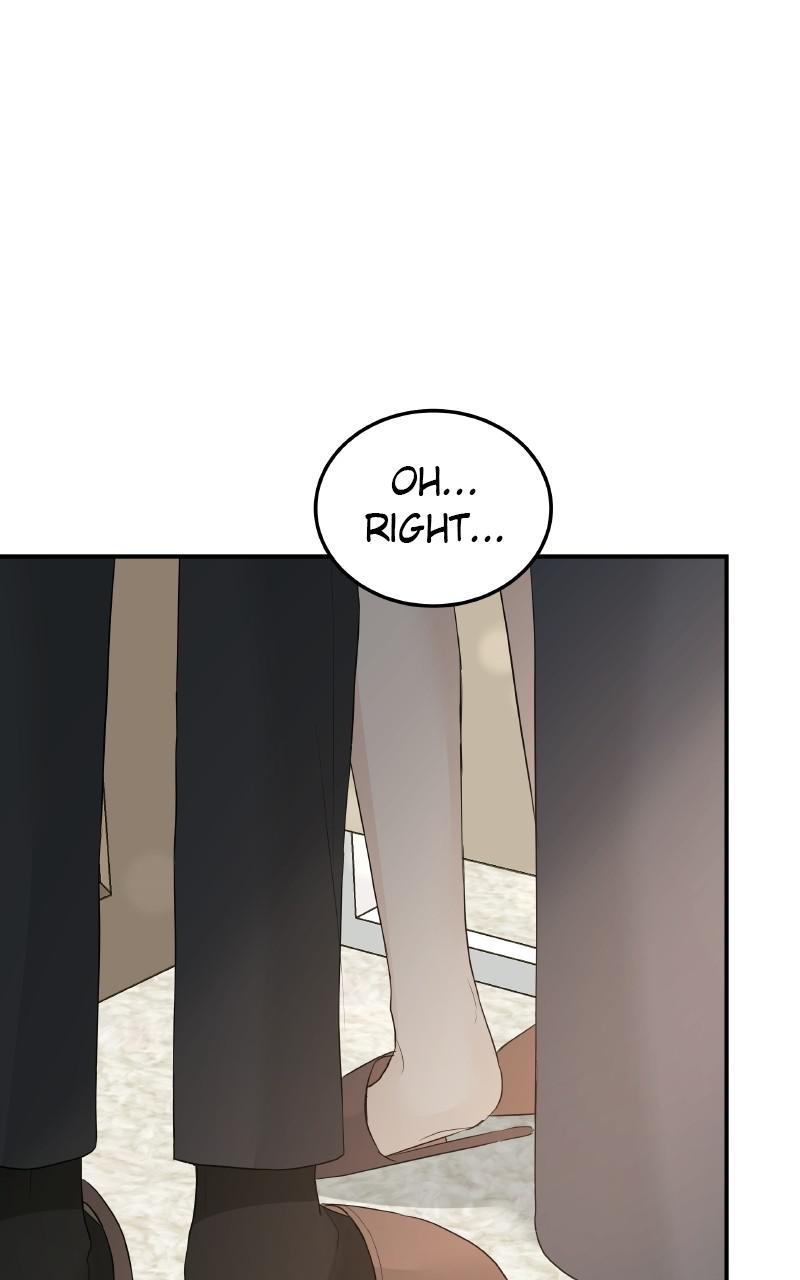 Read Perfect Marriage Revenge EN Manga Online