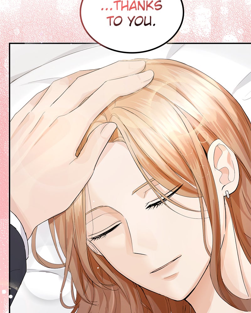 Read Perfect Marriage Revenge EN Manga Online