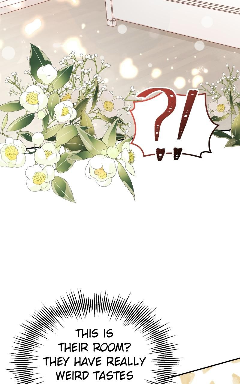 Read Perfect Marriage Revenge EN Manga Online