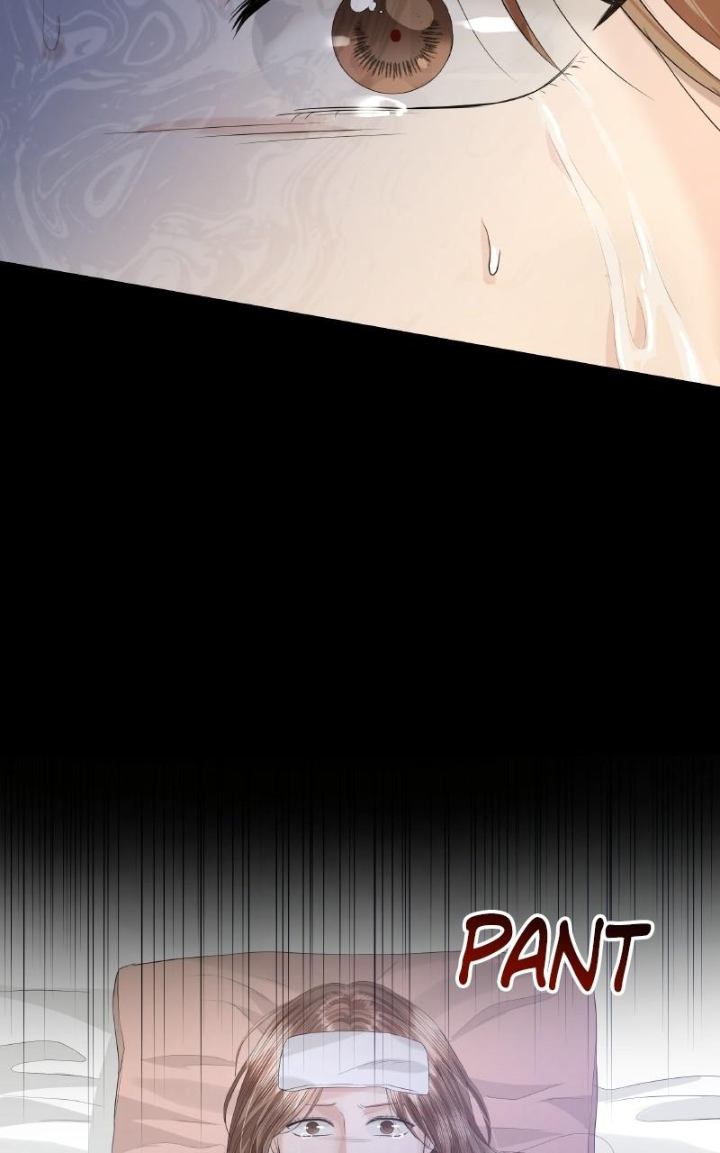 Read Perfect Marriage Revenge EN Manga Online